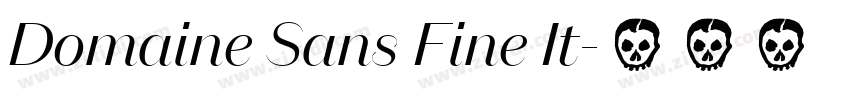 Domaine Sans Fine It字体转换